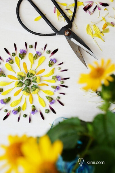 花卉与树叶拼成的自然曼荼罗图案 Nature Mandalas
http://www.sogoke.com/tutorial/11686/
—— 来自手工客