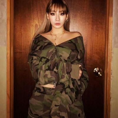 CL 李彩琳