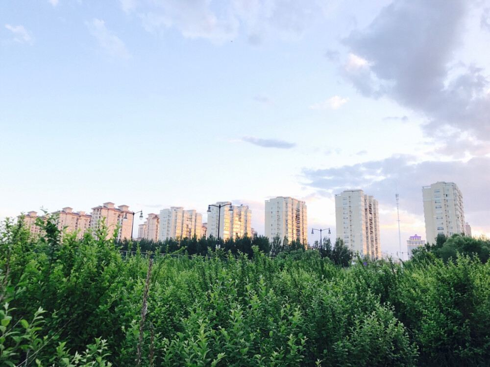 我昨晚做梦了，梦见你牵着我的手，带我去草原