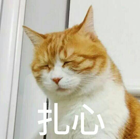 猫日.
日日的表情包