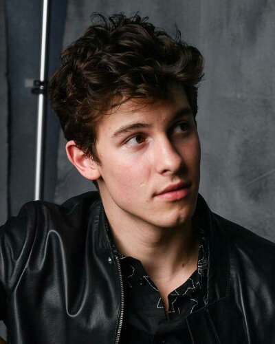 shawn mendes