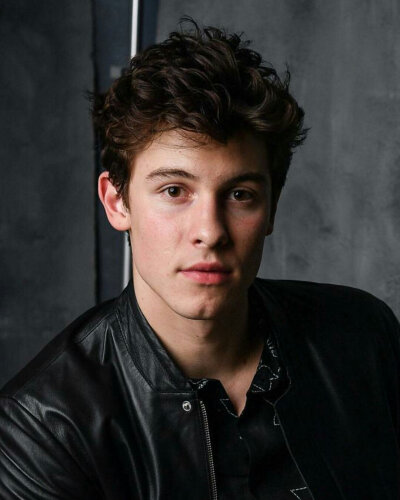 shawn mendes