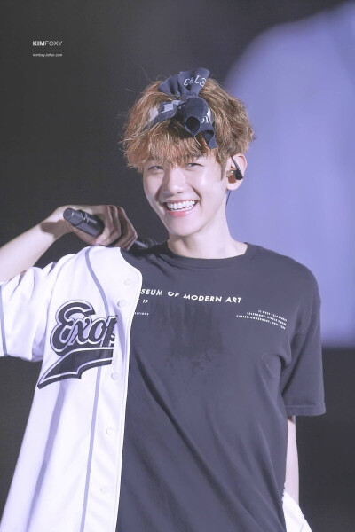 EXO BaekHyun 边伯贤 cr:logo