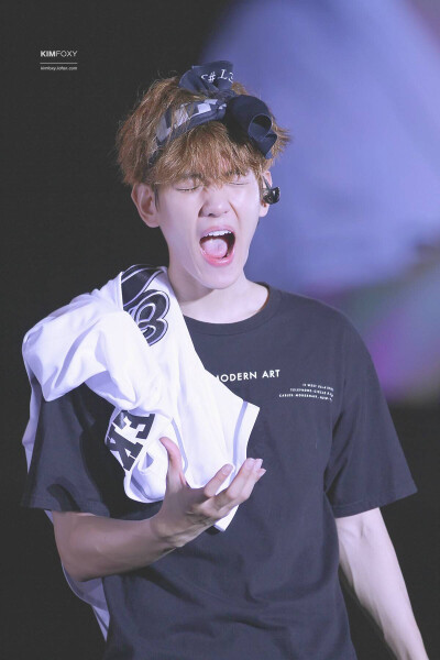 EXO BaekHyun 边伯贤 cr:logo