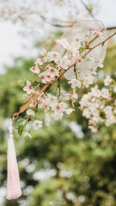 桃花扇