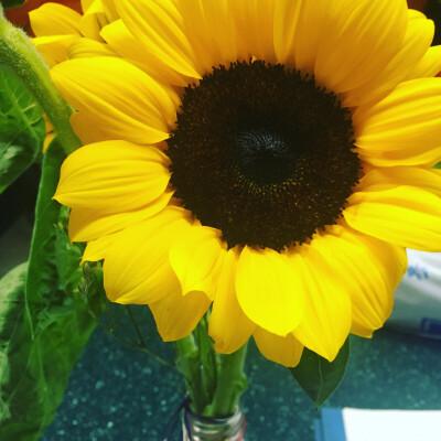 患者送到护士站的太阳花