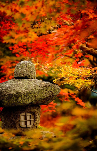 曾听闻，绚烂一季，繁花似景；而后来，夜雨清宵，晓寒透衾。 
曾听闻，海棠春光，比翼成情；而后来，北雁南往，无眠空枕。 
曾听闻，弦歌雅颂，旦暮听闻；而后来，笙箫独奏，葬诗焚琴。 
曾听闻，高山流水，难觅知音…