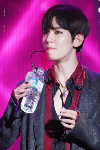 EXO 边伯贤（BAEK HYUN）