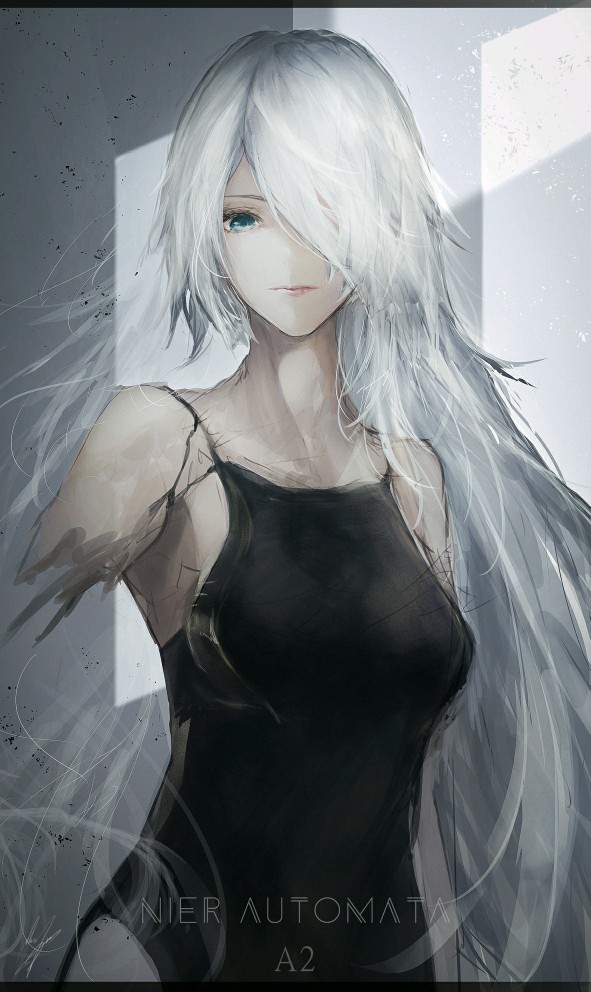 a2