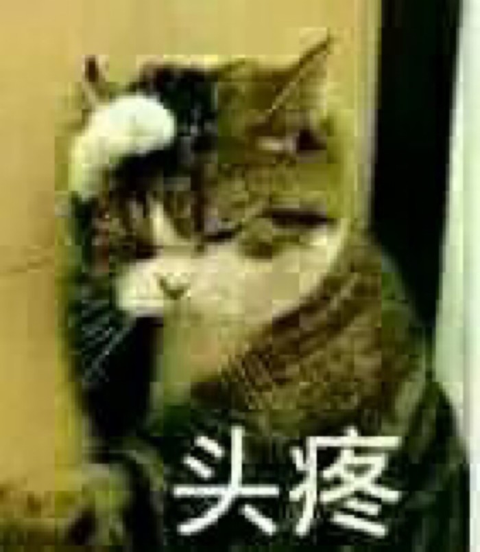 ♤表情包猫咪