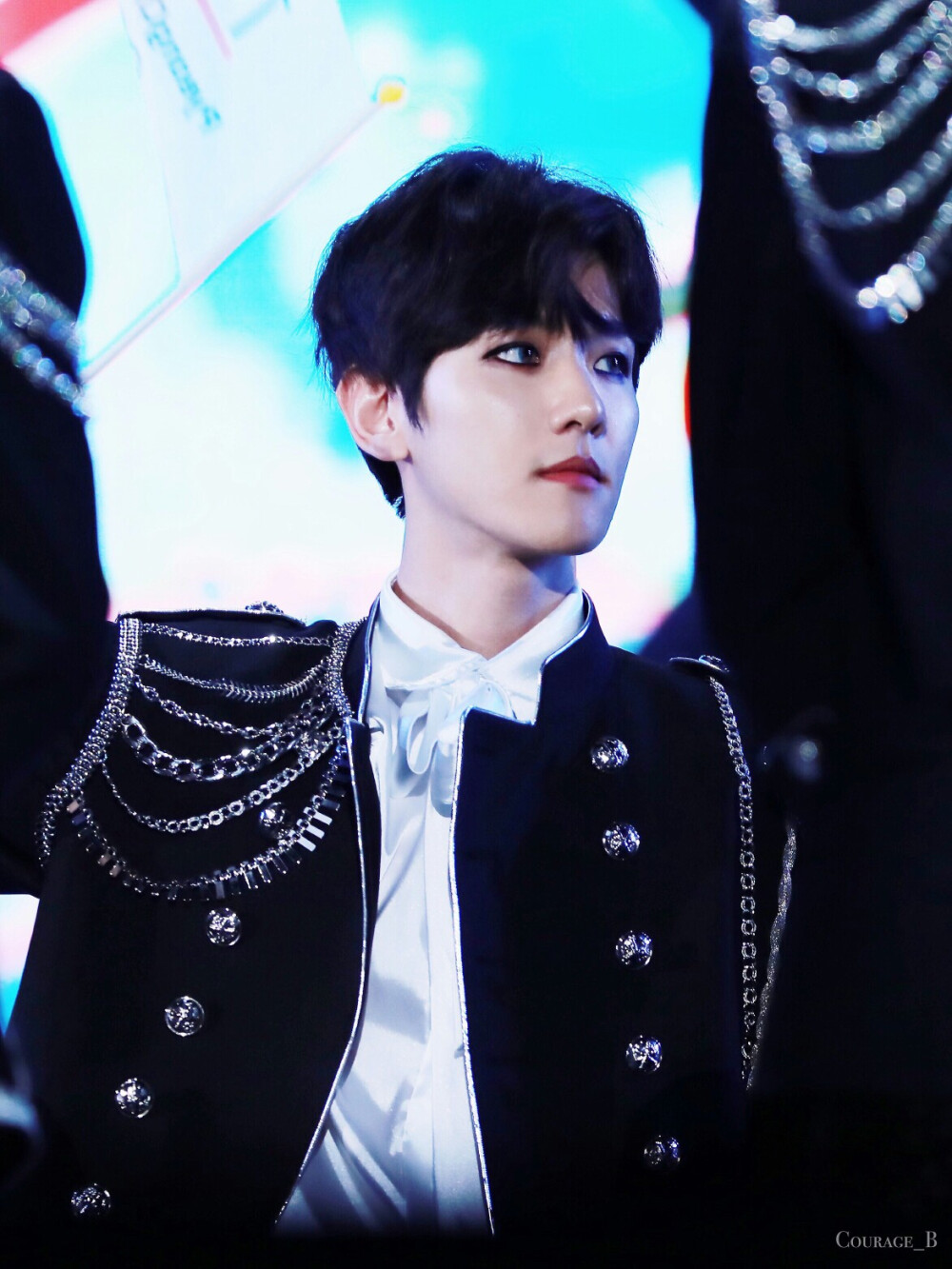 170603 梦想演唱会 伯贤