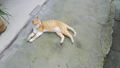 吃饱了吗?
会不会冷?