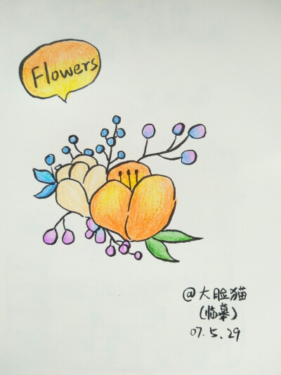 小花花