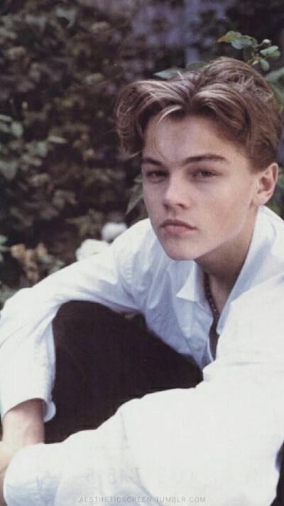 Leonardo DiCaprio