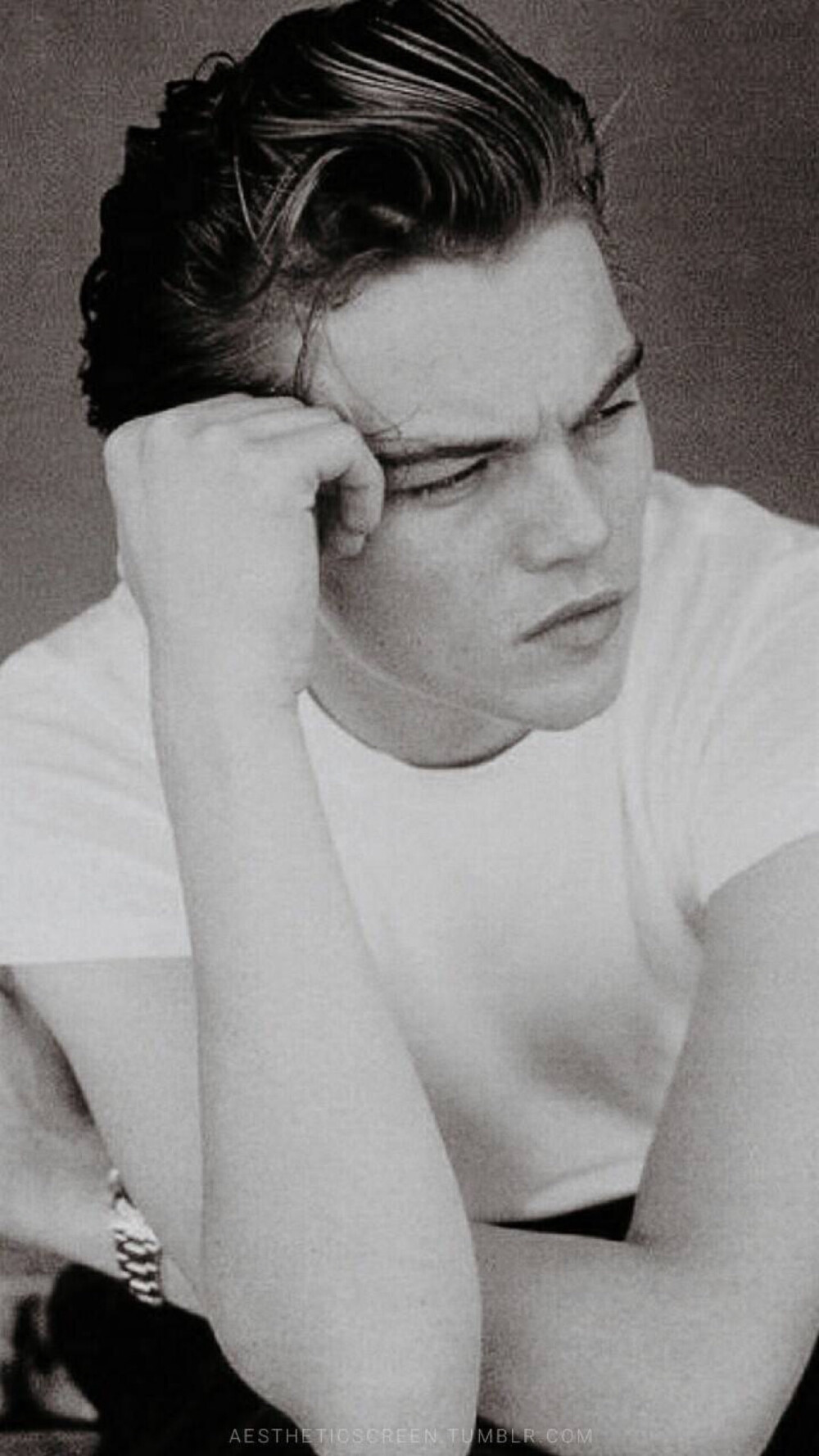 Leonardo DiCaprio