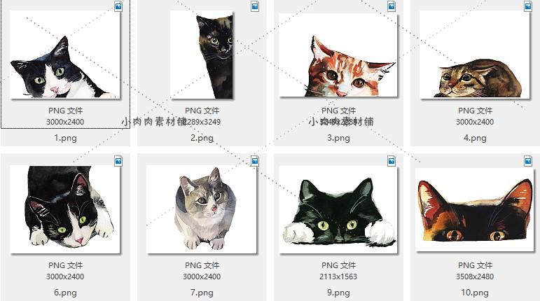 超可爱猫小动物家族卡通插画海报图案PNG设计素材png198