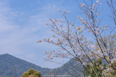 明丽的风景