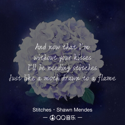 《Stitches》