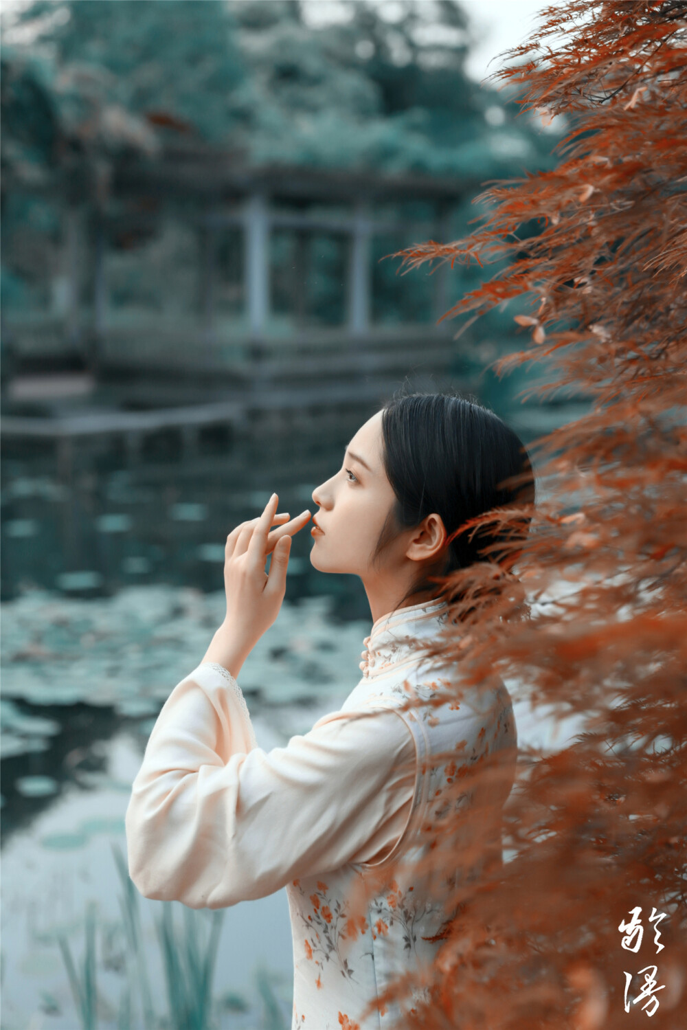 有美人兮，见之不忘