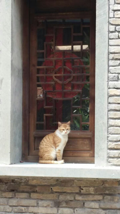 日常毛毛
好幸运遇见你 一起长大也 谢谢你 一直陪在我身边
