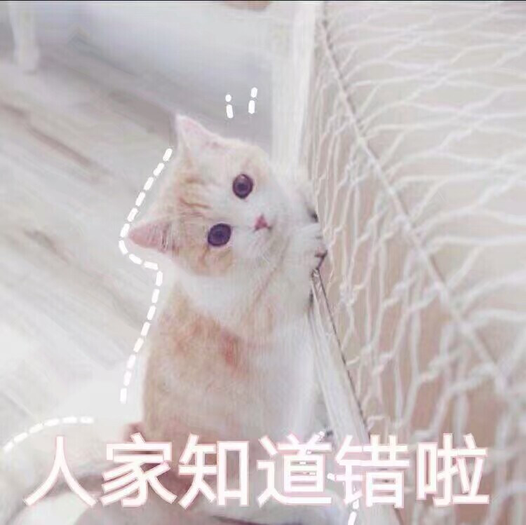 可爱喵星人 猫咪表情包