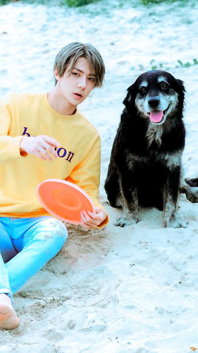 exo 吴世勋 sehun cr:logo 斐济写真