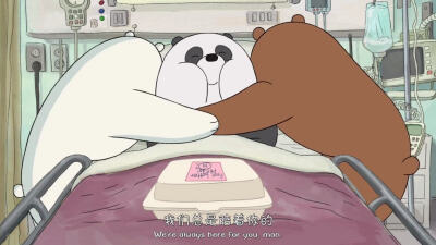 we bare bears