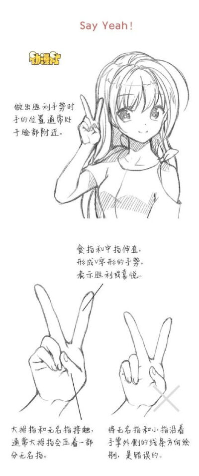 各类手势绘画的技巧。转需~by@CC动漫社