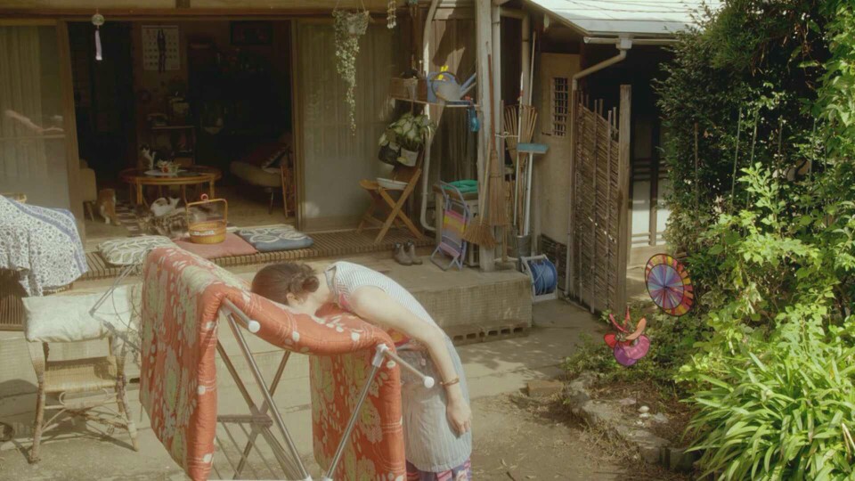 《租赁猫》电影剧照ㄧ日系和风ㄧ壁纸ㄧ田园ㄧ治愈系