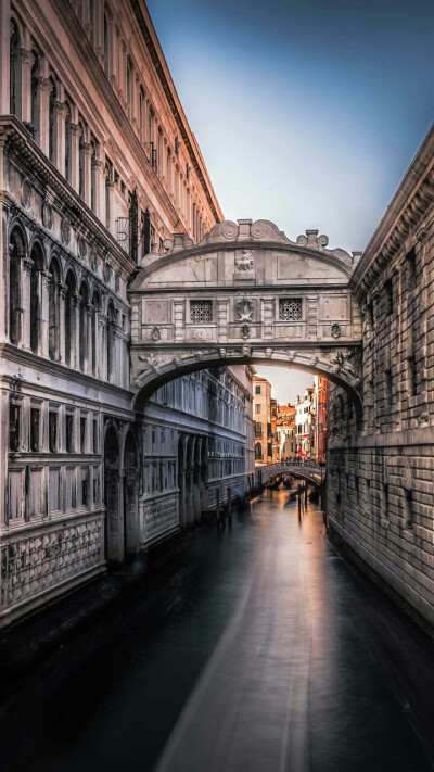 现在的我背不过园冶，这个学期结束之前，肯定背过。