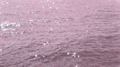 我还是很喜欢你 像椿去湫来 海棠花开