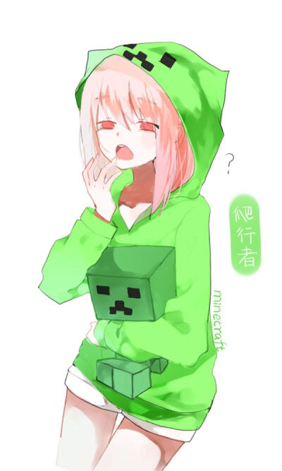 Minecraft 我的世界 苦力怕