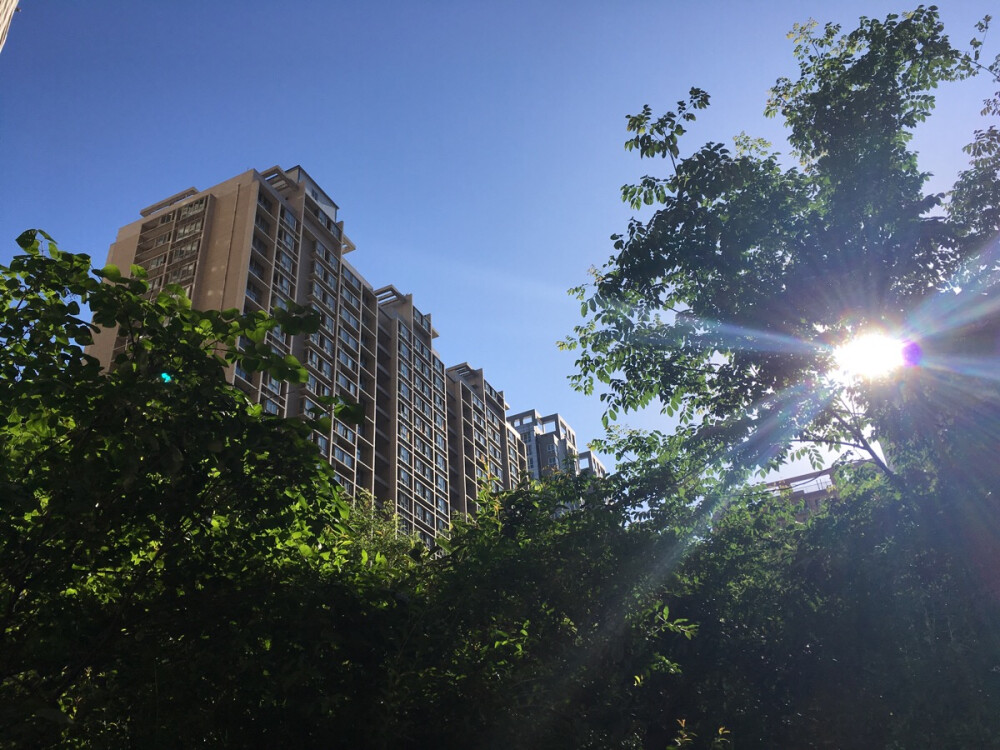 雨后的阳光