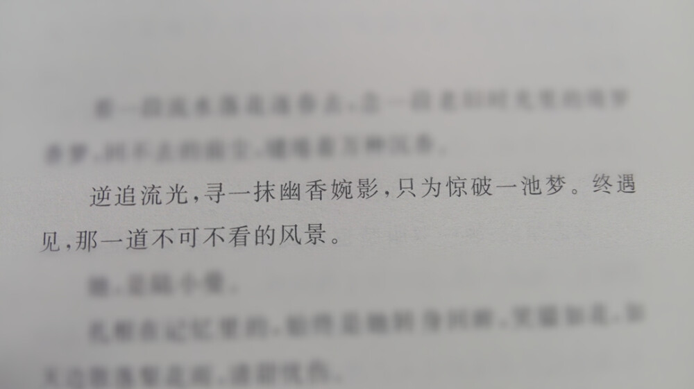 逆追流光，寻一抹幽香婉影，只为惊破一池梦。终遇见，那一道不可不看的风景。