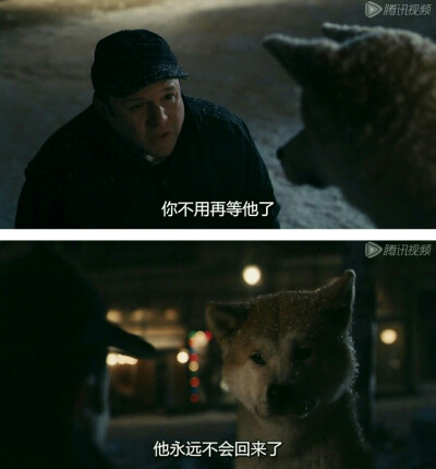 忠犬八公的故事