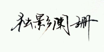 独影阑珊 文字控