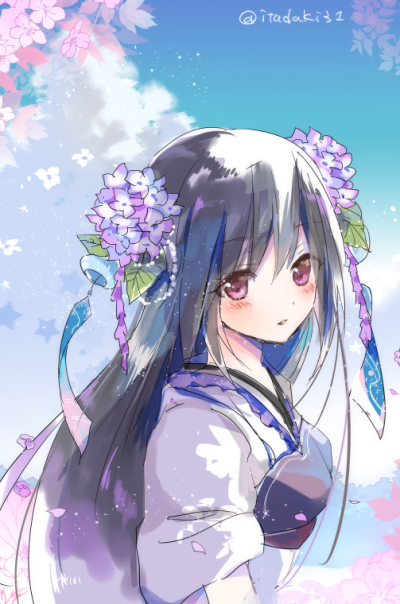 紫阳花