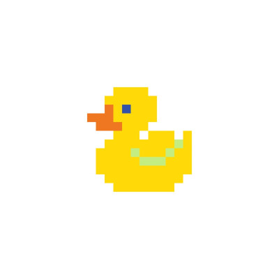 duck