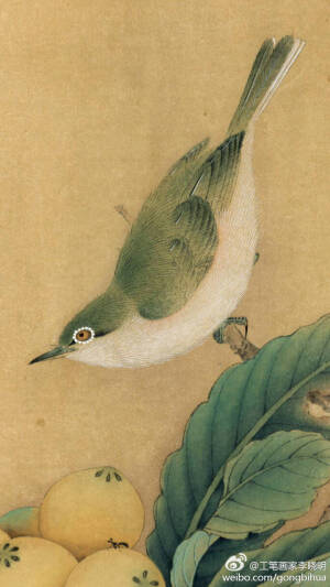 李晓明工笔画
