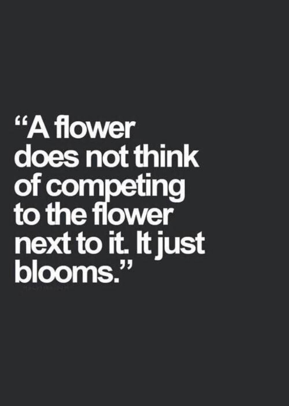 A flower does not think of competing to the flower next to it, it just blooms.