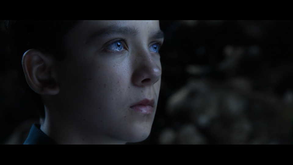 Asa Butterfield-阿沙·巴特菲尔德