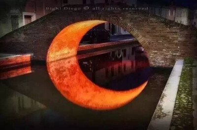 小桥与光影的交汇
仿佛月亮落入了水面