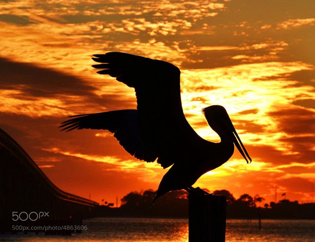 充满视觉想象的小清新剪影美图图片