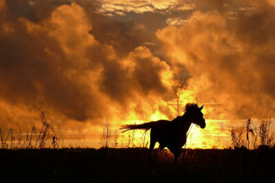 充满视觉想象的小清新剪影美图图片
