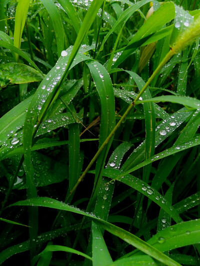 雨后