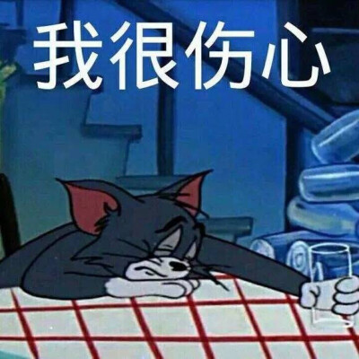 汤姆猫