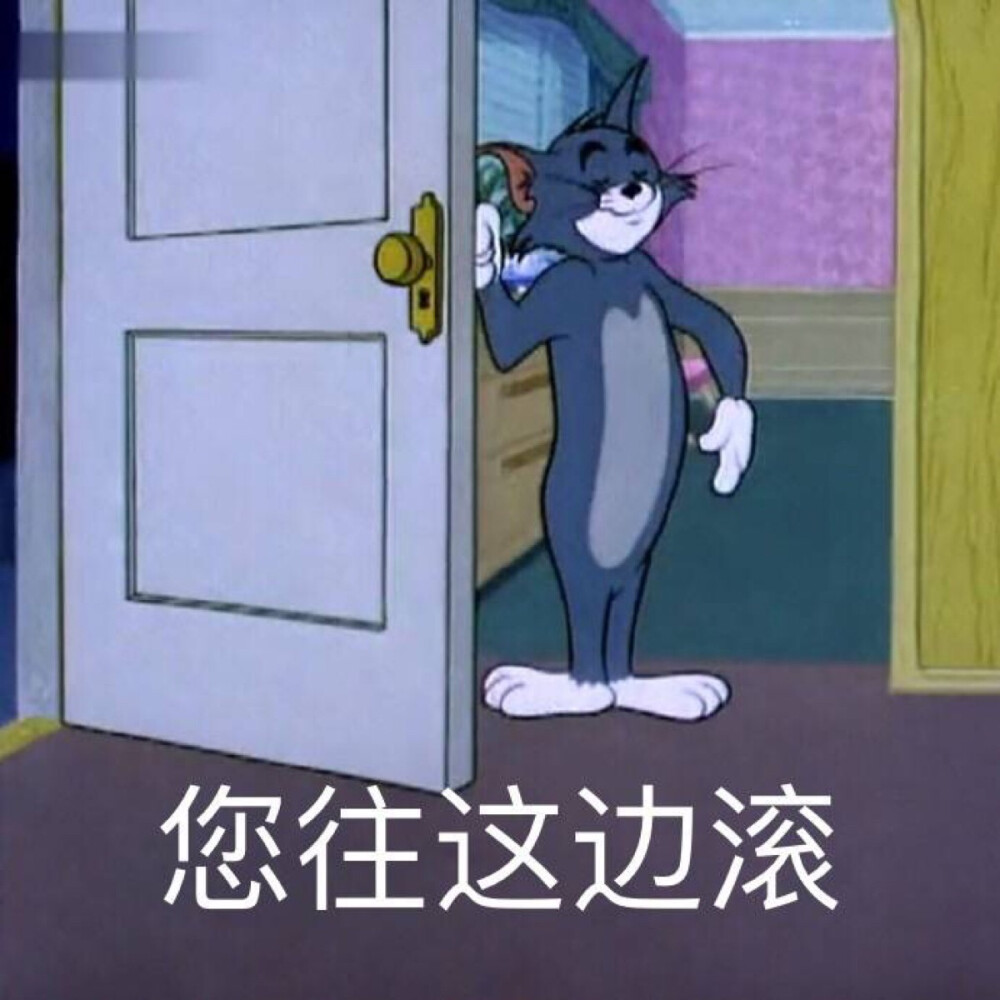 汤姆猫