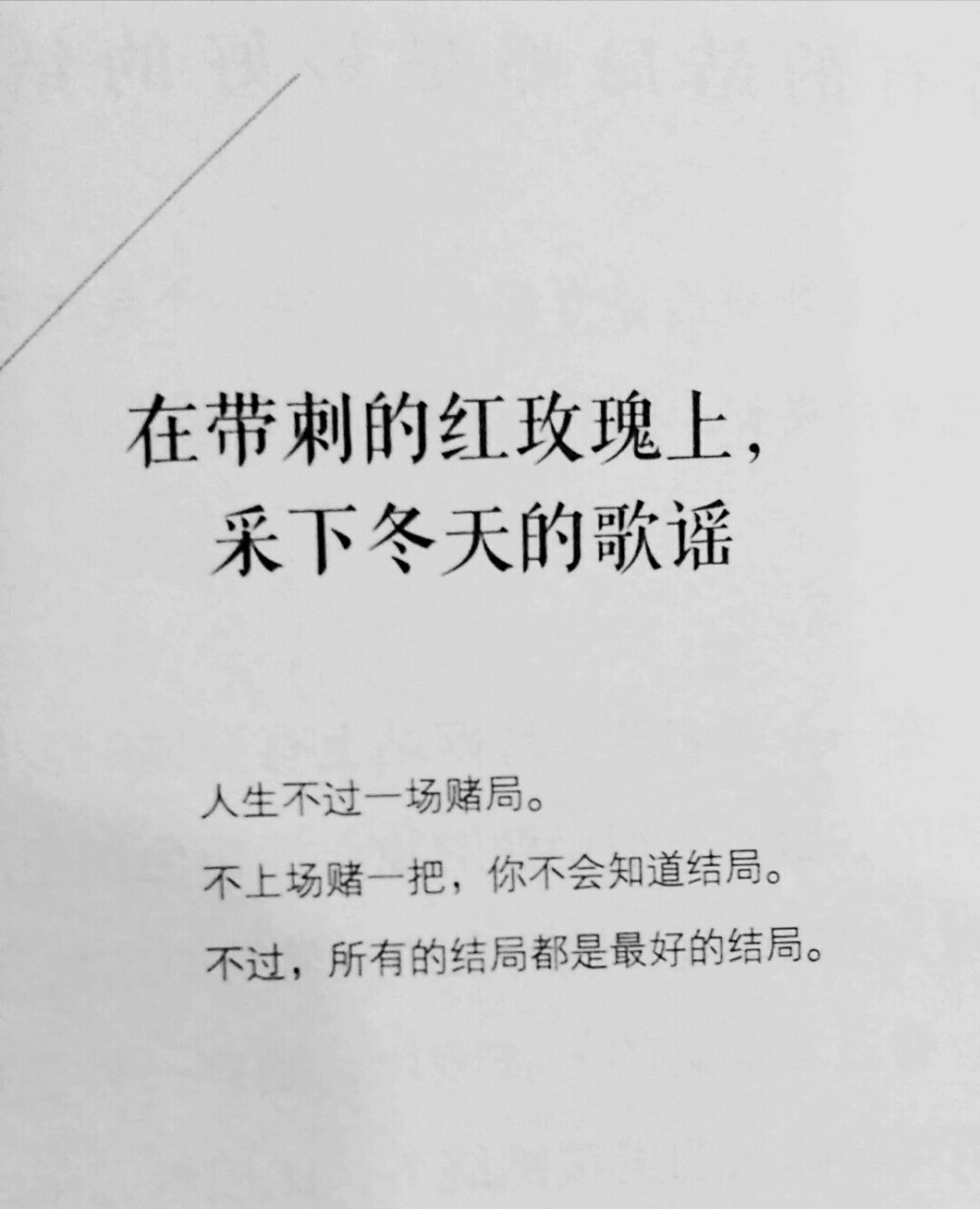 文字,伤感,青春 中不中意你说了算