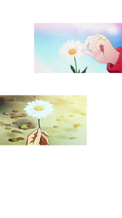 我可爱的壁纸哟