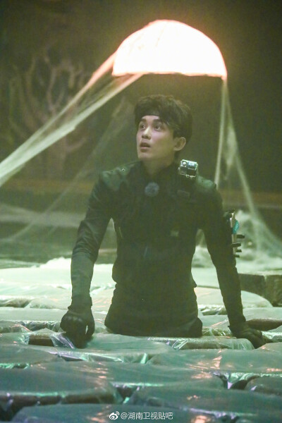 我们不大象。吴情吴义兄弟